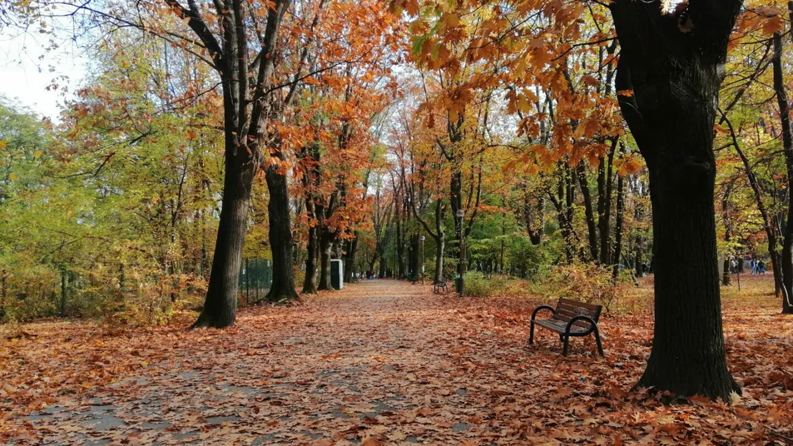 Prognoza meteo 1 - 14 noiembrie. Temperaturi de până la 21 de grade la începutul intervalului, apoi vremea se răceşte şi vin ploile