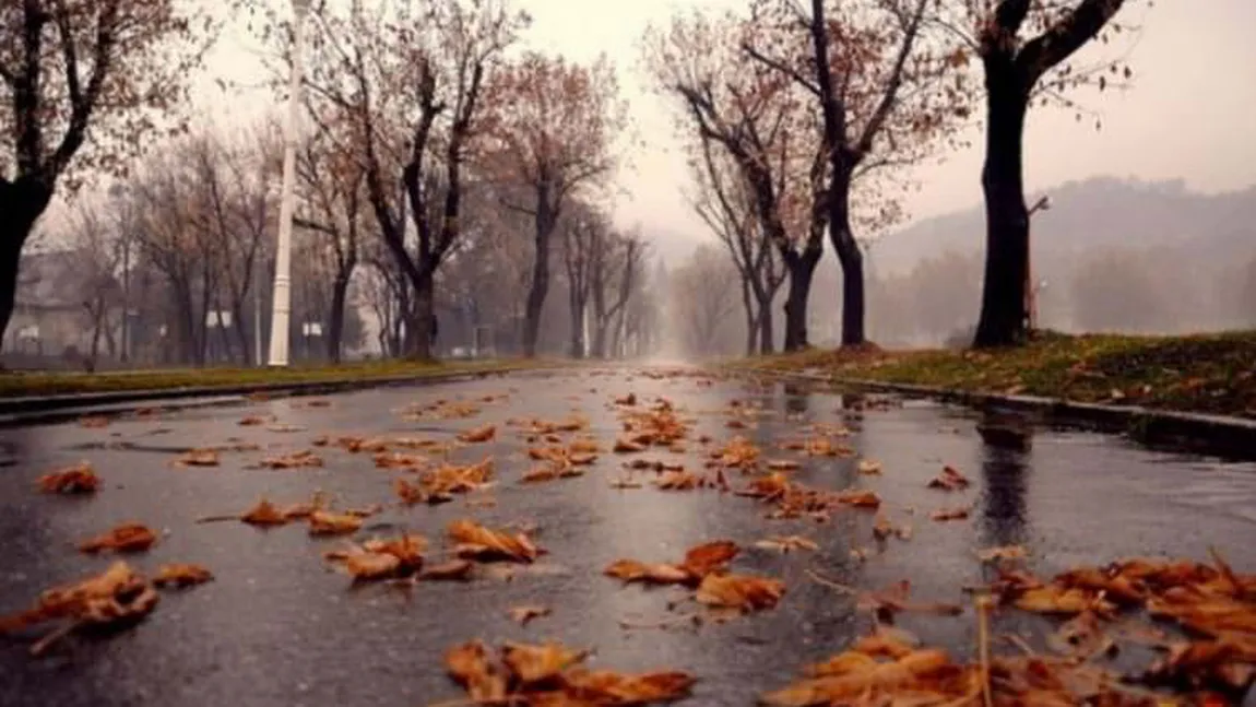 Prognoza meteo 12 noiembrie. Vremea se încălzeşte uşor, dar de sâmbătă revin ploile