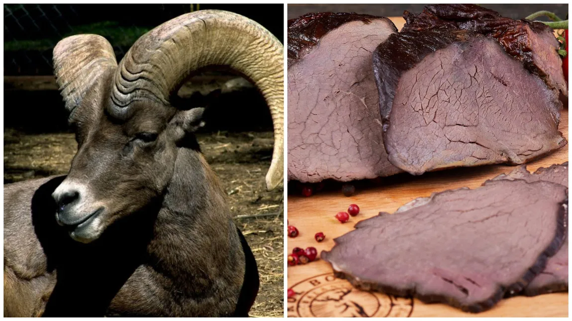Românii preferă carnea de cerb sau de mistreț în locul celei de porc, chiar dacă costă de trei ori mai mult!