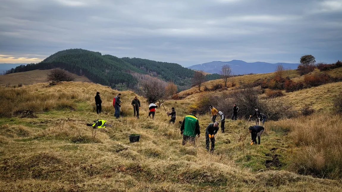 HS Timber Group a sprijinit în anul 2021 proiecte sociale de peste 5,06 milioane de Euro