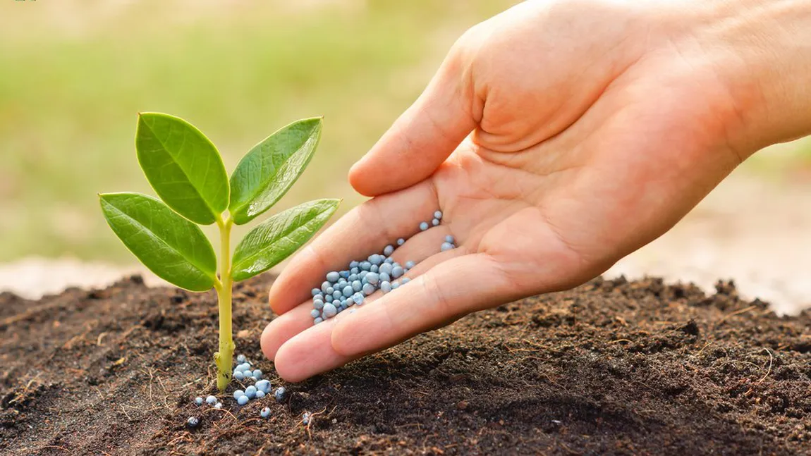 Ce, cum şi cât, un ghid al agronutrienţilor şi oferte de la Nu Oricum 