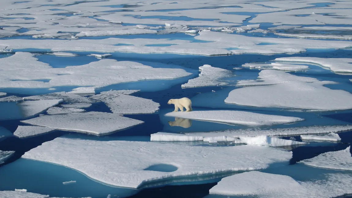 Zona arctică se topeşte. A fost înregistrată cea mai mare temperatură, 38 de grade Celsius
