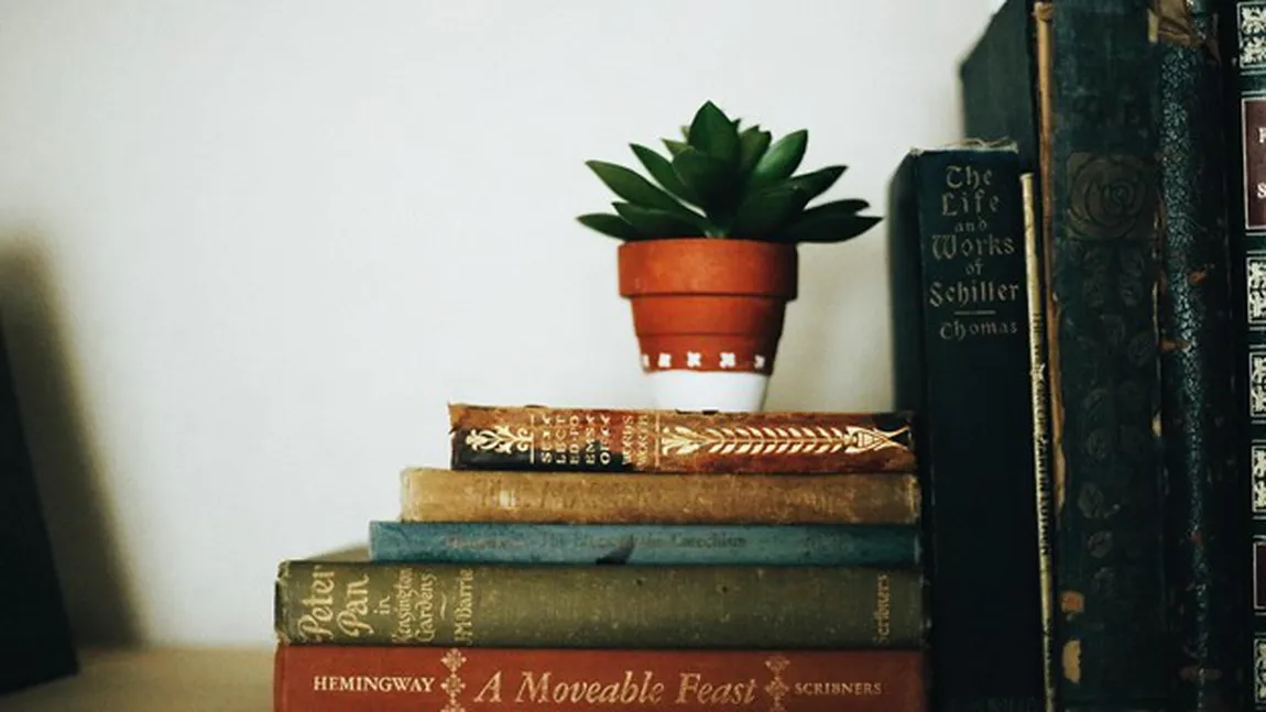 4 modalități care te ajută să elimini cărțile vechi din biblioteca ta