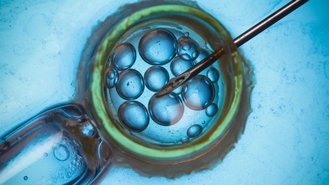 Procedurile de fertilizare in vitro ar putea fi decontate de stat de anul viitor