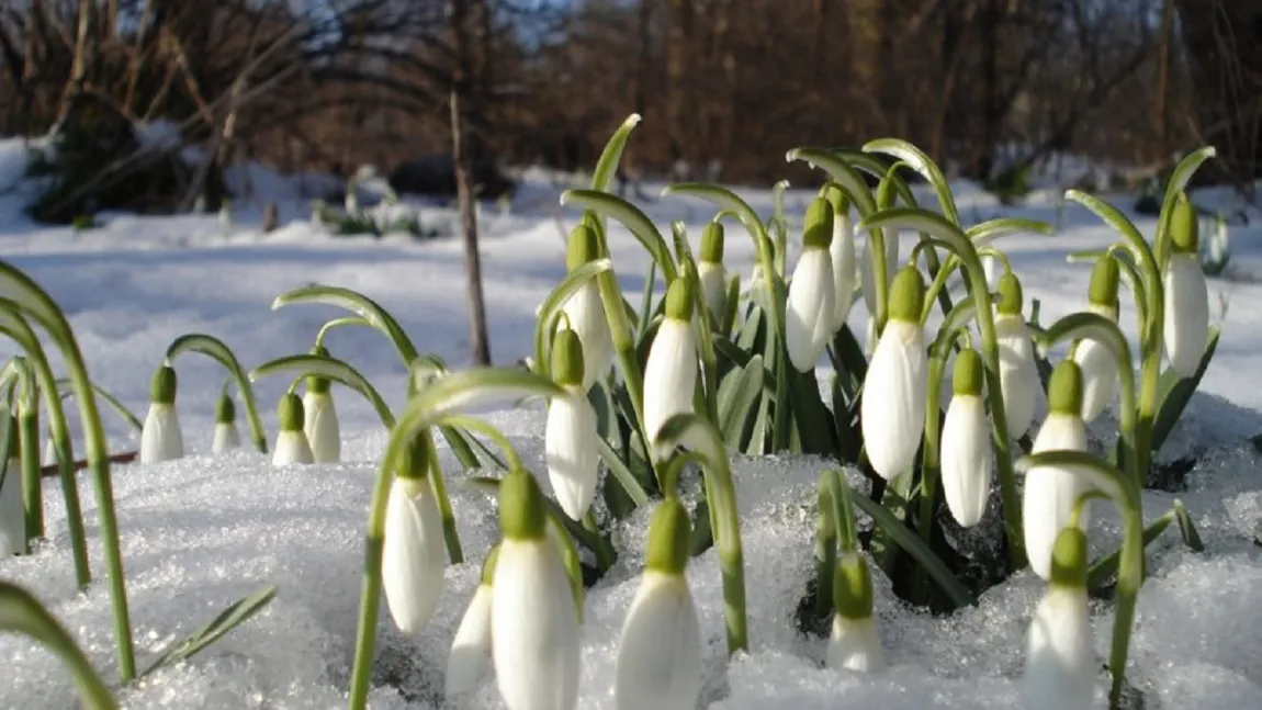 Prognoza meteo februarie 2022. Adie vânt de primăvară, ninsori bogate doar la munte