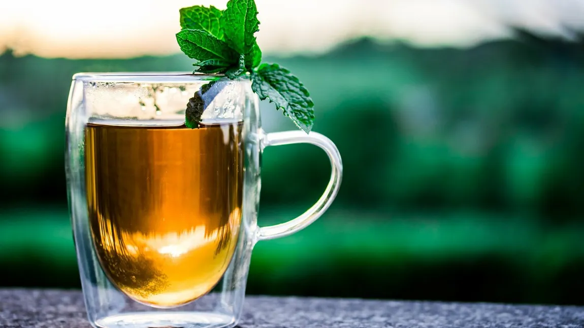 Ceaiul amărui care este elixir pentru sănătate. Se bea o cană seara, după o infuzie de 10-15 minute