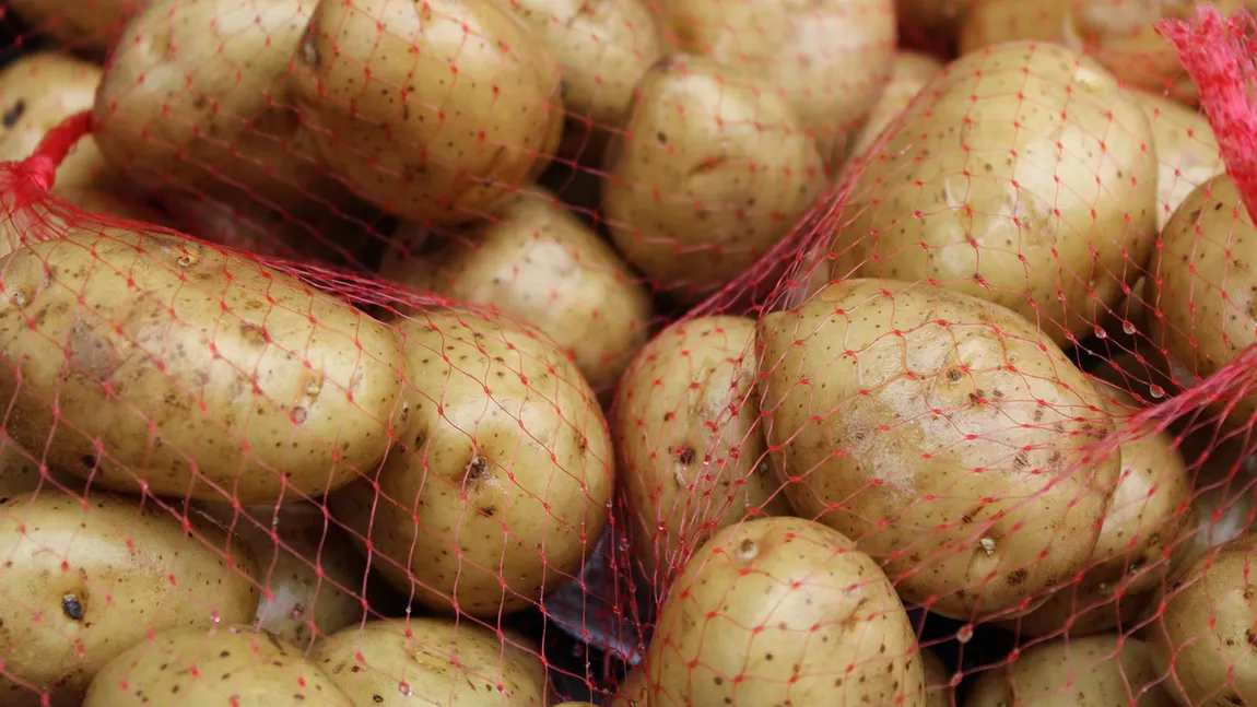 Cum își propune guvernul să crească producția de cartofi. Cifre dezastruoase pentru România, care importă pe bandă rulantă până și cele mai banale fructe și legume