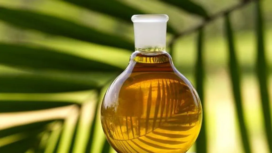 Uleiul de palmier, periculos pentru organism. Multe din produsele ambalate îl conţin