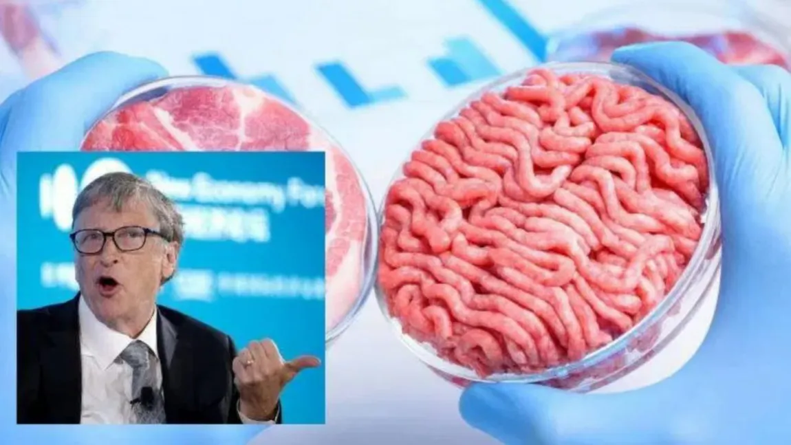 Dispare carnea de porc și de pui! Visul lui Bill Gates devine realitate: ce se pregătește acum în laboratorele lumii 