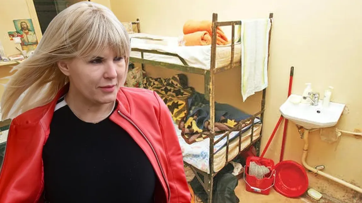 Elena Udrea, primele declaraţii după decizia instanţei din Bulgaria: 