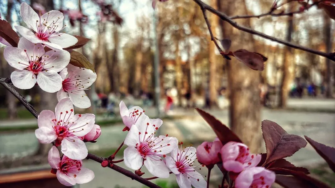 Prognoza meteo 13 aprilie. Vreme frumoasă, dar rece în toată ţara. Unde va mai ploua