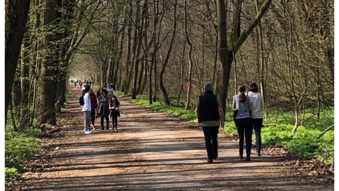 Prognoza meteo de Florii şi Paşte. Meteorologii avertizează că vremea se răceşte considerabil