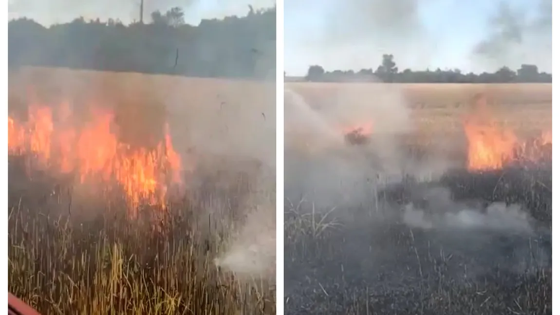 Incendiu puternic la ieşire din Arad. Au ars 15 hectare de orz FOTO