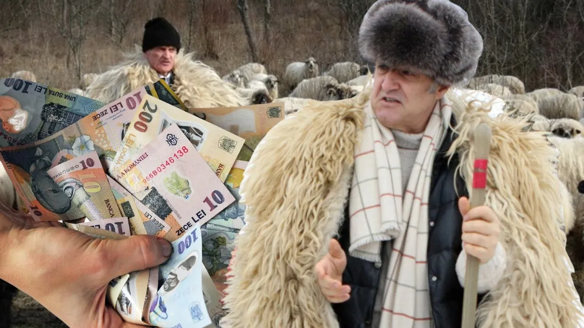 EXCLUSIV | Gigi Becali, explicaţii halucinante despre criza ciobanilor din România. 