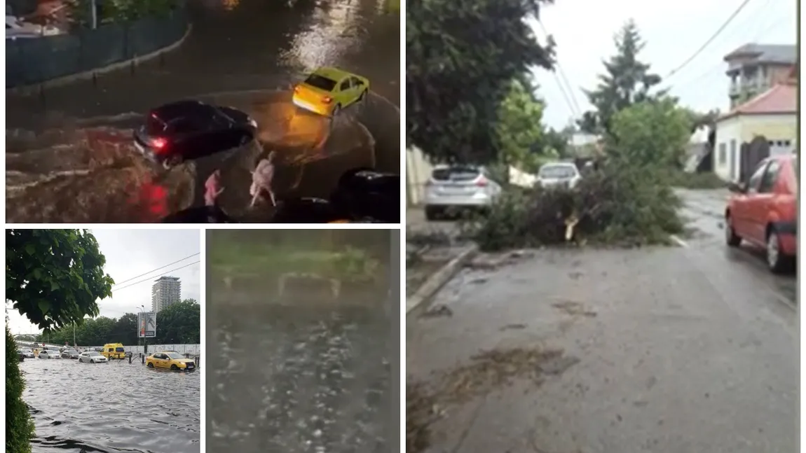 Furtuna a făcut prăpăd în București: străzi și case inundate, mașini distruse, copaci smulși din rădăcini