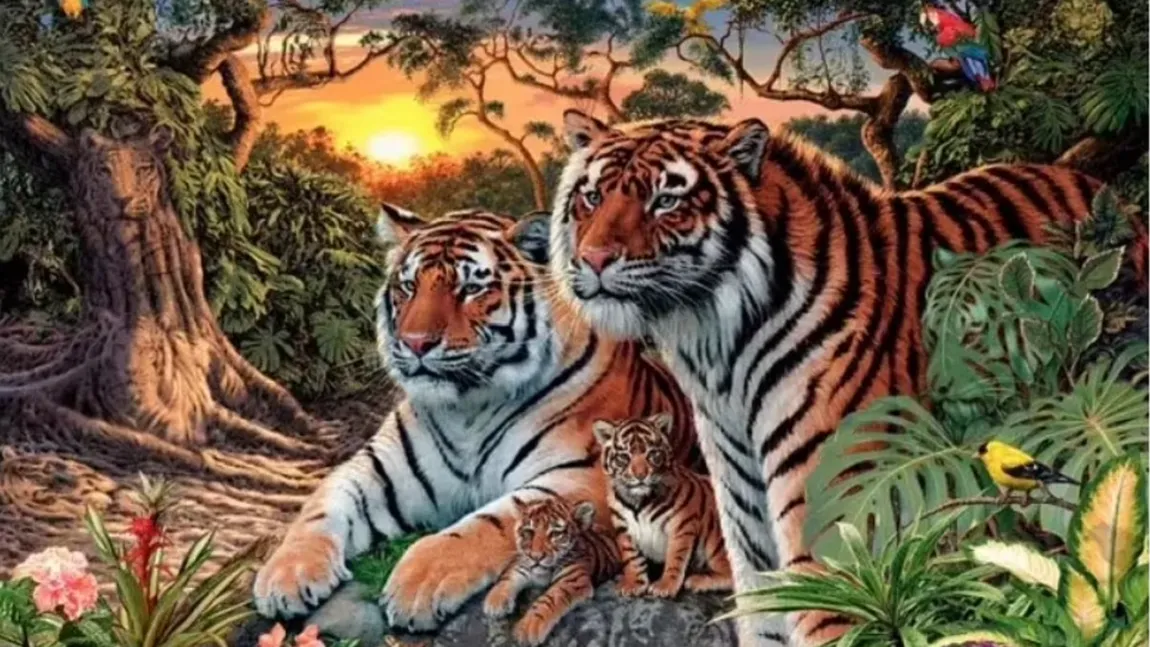 Poți găsi 16 tigri în această fotografie? Iluzia optică care a făcut înconjurul internetului. Doar câțiva utilizatori au găsit răspunsul