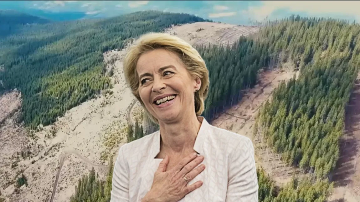 Proiect amplu de reîmpădurire a României. Ursula von der Leyen a dat verdictul