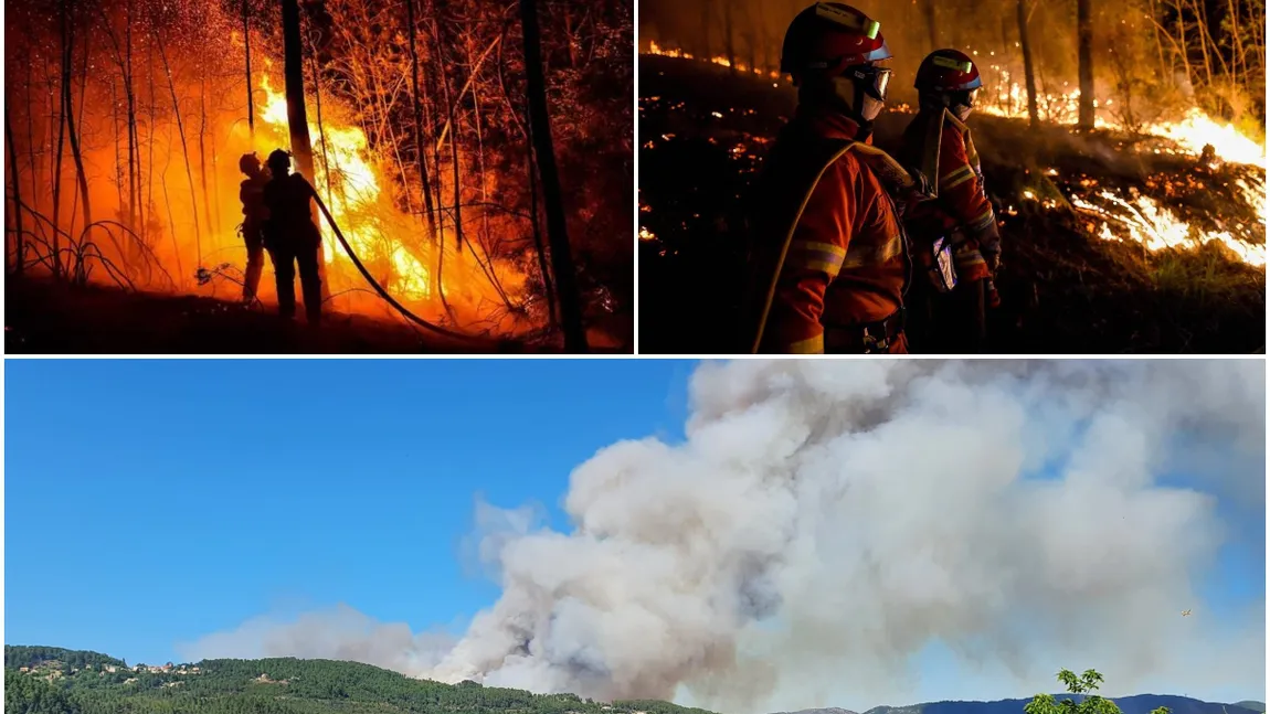 Incendiu uriaş de pădure! Sute de hectare au fost afectate, zeci de familii din zonă au fost evacuate