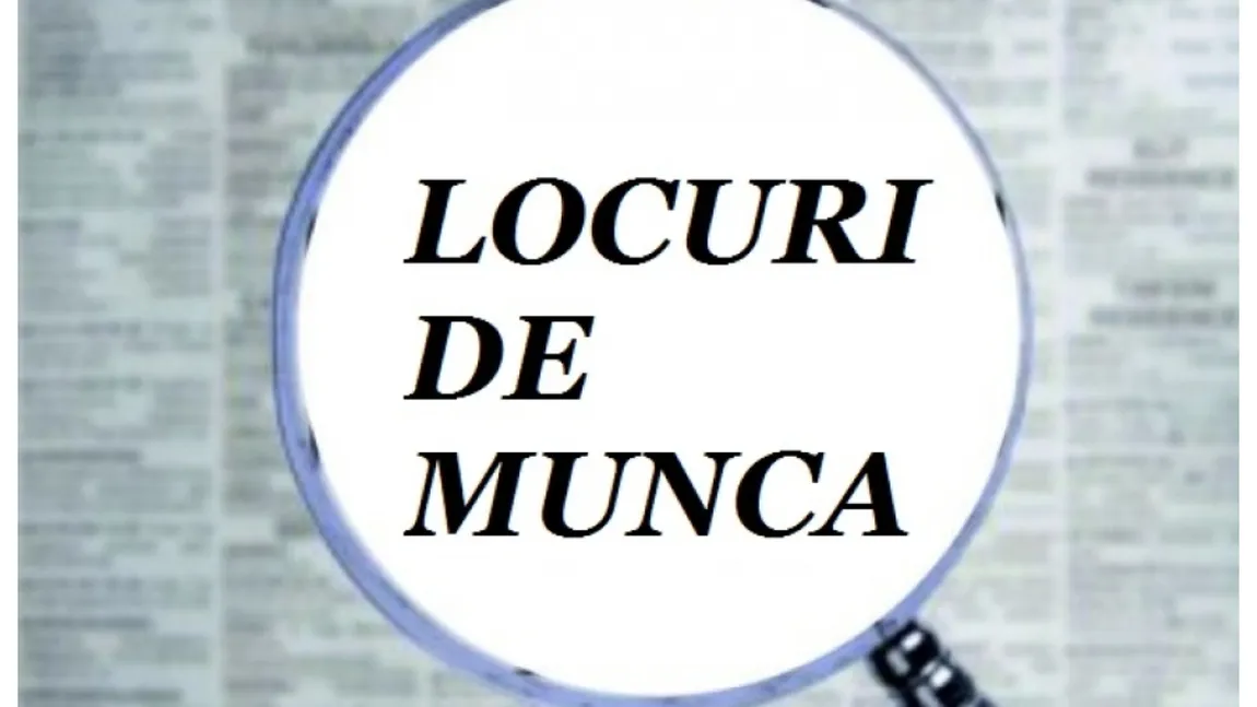 Avalanşă de locuri de muncă în România. Numărul joburilor disponibile s-a dublat faţă de 2021. Ce salarii se oferă