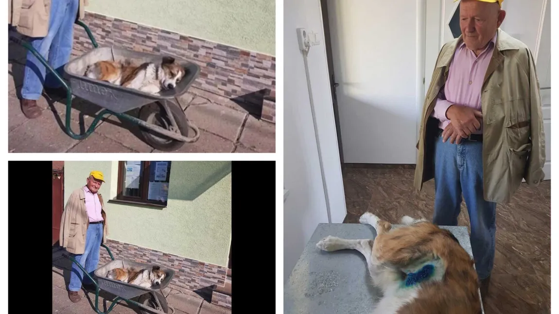 Un bătrân de 84 de ani din Satu Mare şi-a dus câinele 8 km cu roaba până la veterinar