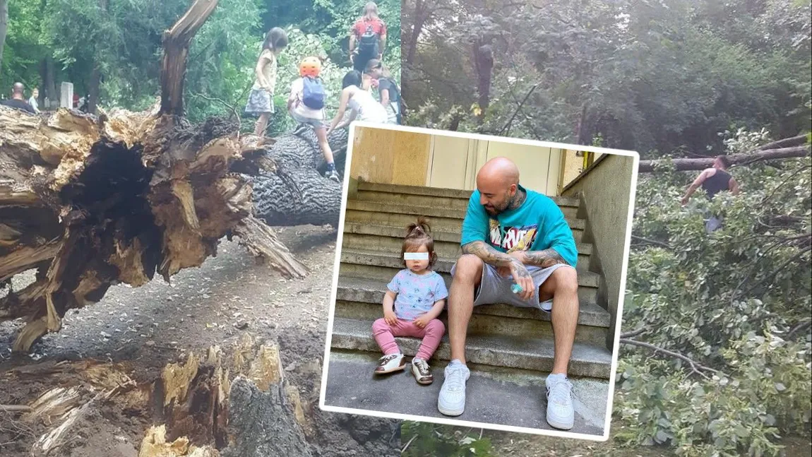 Copac căzut în Parcul Kiseleff. Fiica cântăreţului Matteo, rănită. Alertă meteo de vreme severă în Bucureşti. Când vin furtunile