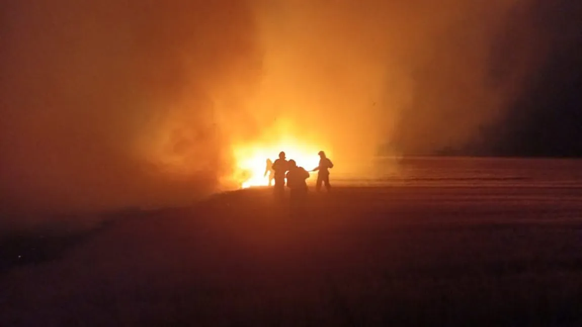 Cod roşu de intervenţie la Tulcea: 400 de hectare au ars, incendiul a fost pus de o mână criminală