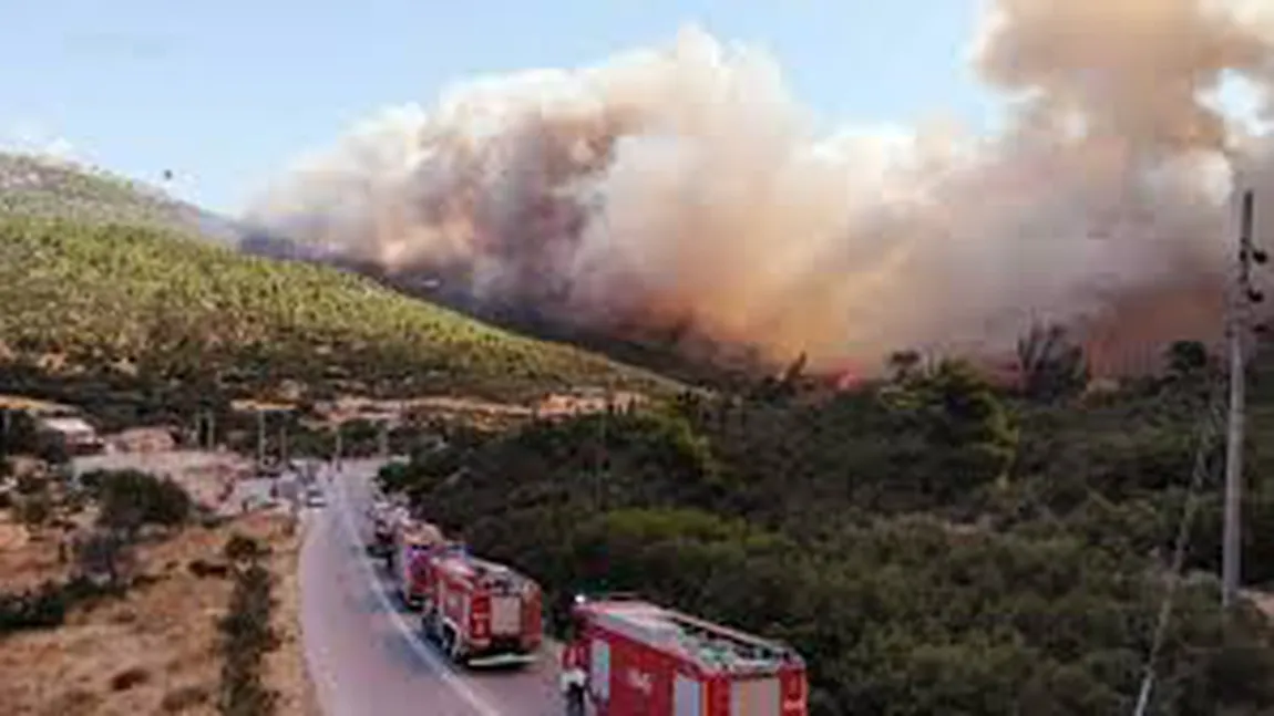 Incendiu puternic la Mănăstirea Tărcuţa din Neamț! Flăcările se pot extinde la biserică şi la fondul forestier