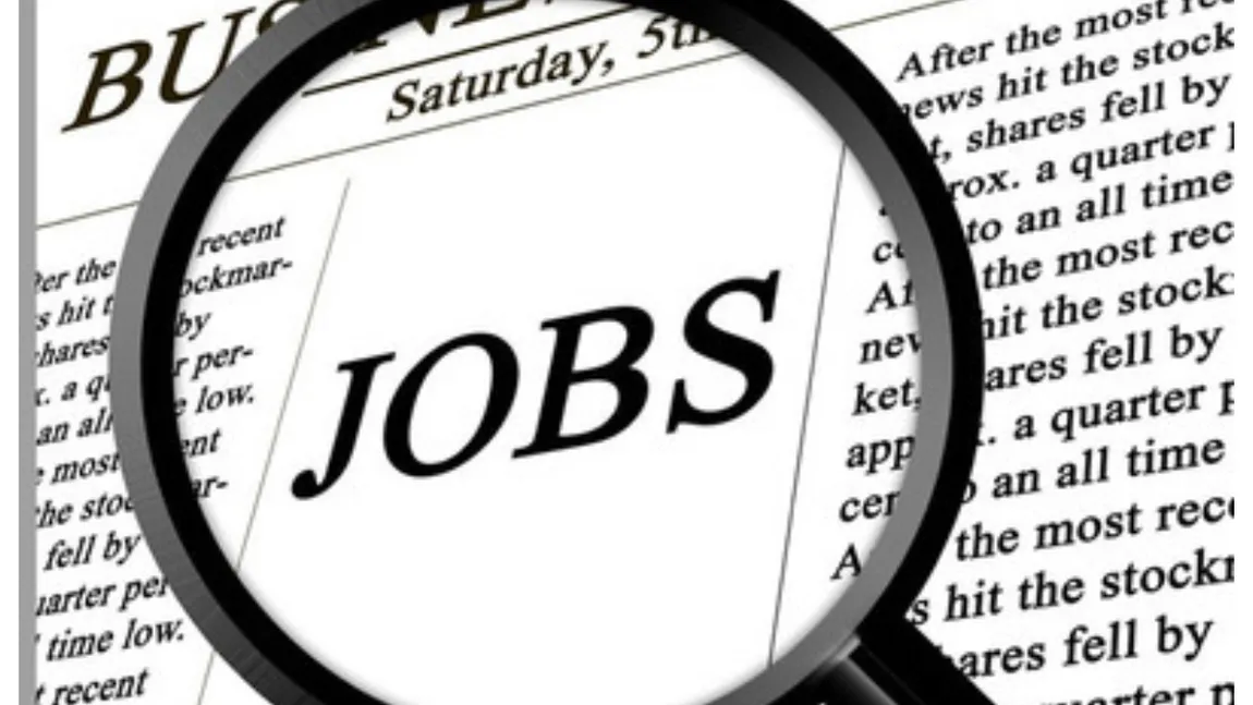 Joburi 2022. Cele mai căutate locuri de muncă, domeniile care adună cele mai multe CV-uri