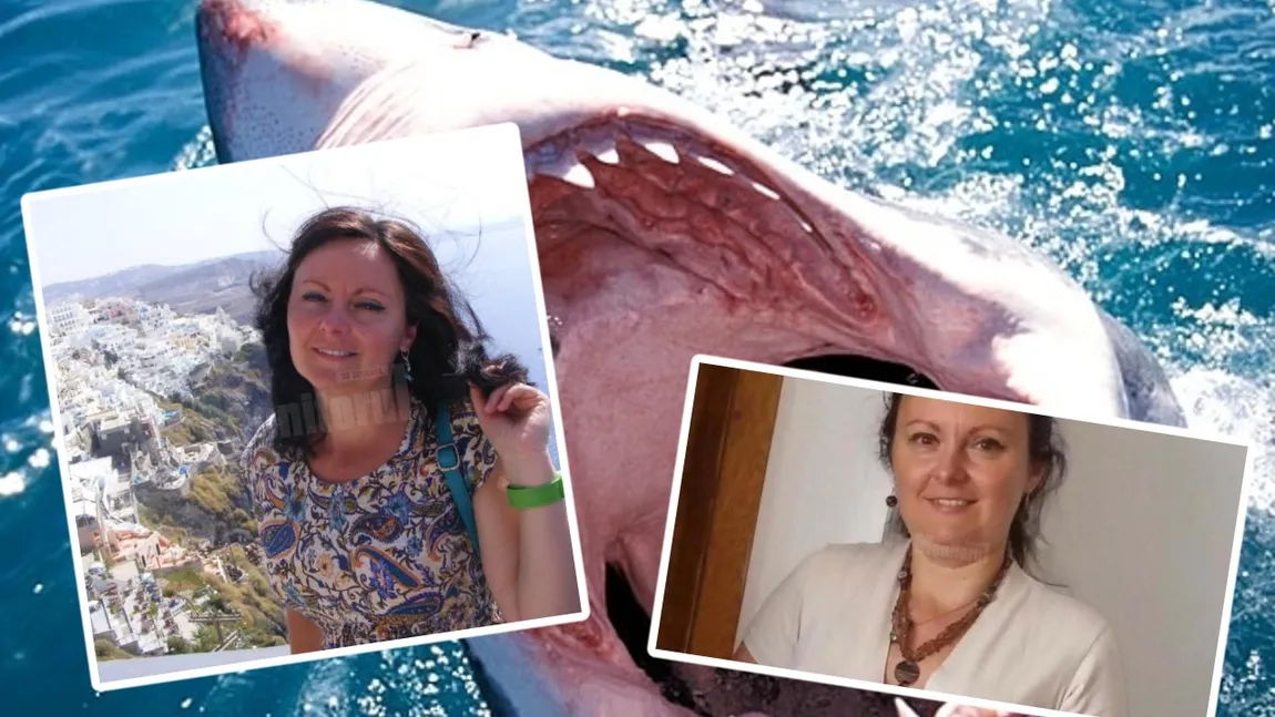 Anchetă în Egipt. Turistele din România şi Austria au fost ucise de acelaşi rechin. S-a aflat de ce au fost atacate