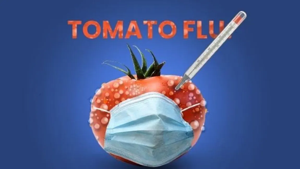 Gripa tomatelor aduce o nouă alertă sanitară. Simptomele includ oboseală, greaţă, vărsături, diaree, febră, deshidratare