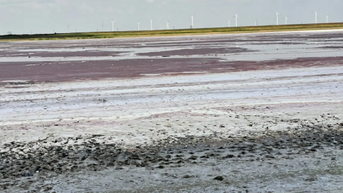 Cel mai sărat lac din România a secat. Movila Miresii s-a transformat într-un câmp de cristale