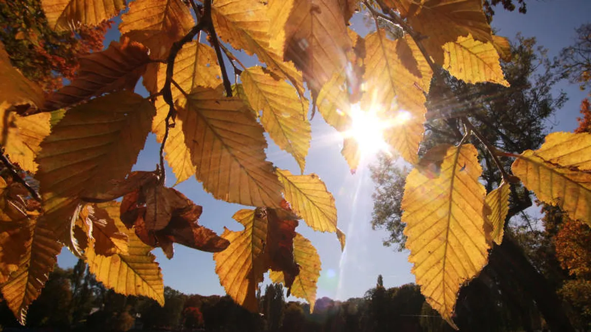 Prognoza meteo pe patru săptămâni. Vara se prelungeşte în septembrie, temperaturi ridicate mare parte din luna viitoare