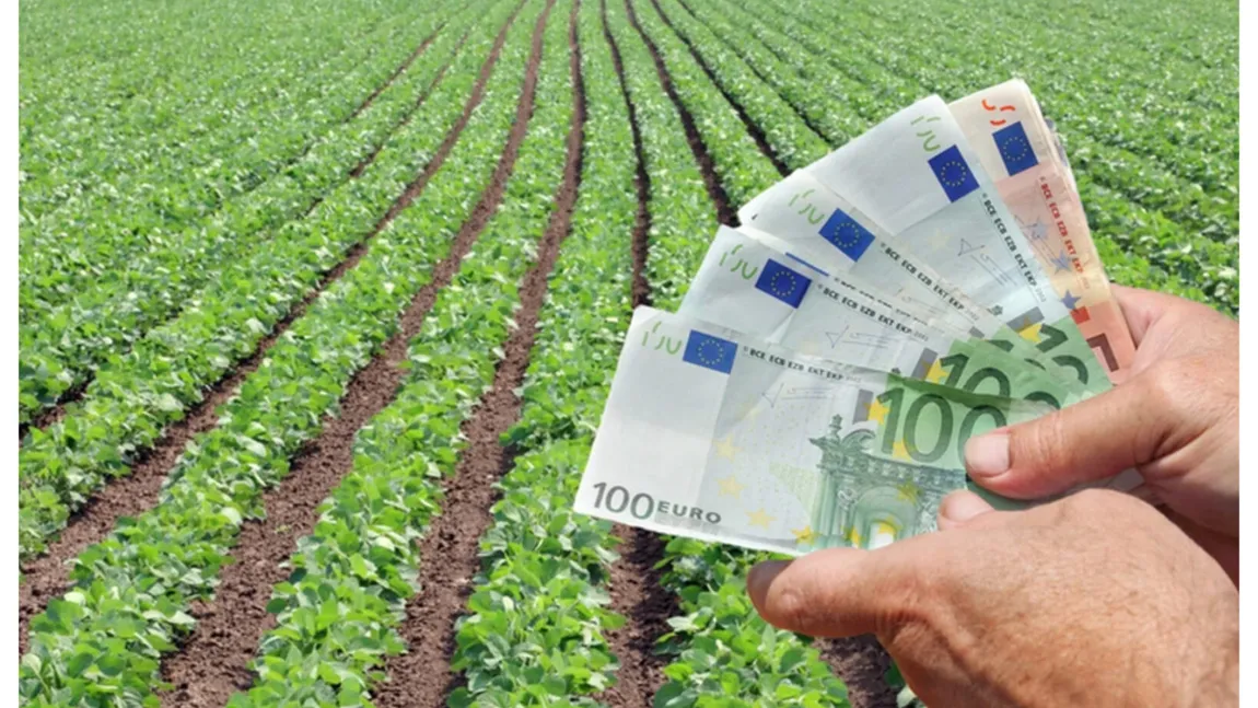 Preţul terenurilor agricole, creştere spectaculoasă. Se cere 50.000 de euro/ha în Iaşi, în zona limitrofă urbanului