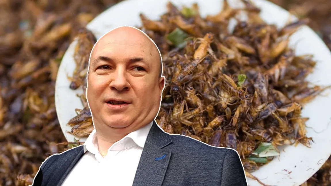 Codrin Ştefănescu, despre impunerea insectelor ca alimente: 