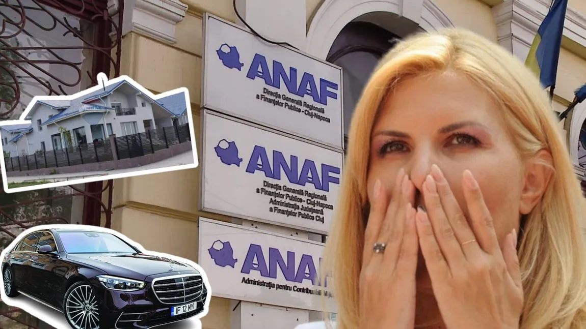 Elena Udrea, primele declarații după decizia ANAF de a-i scoate averea la vânzare: 