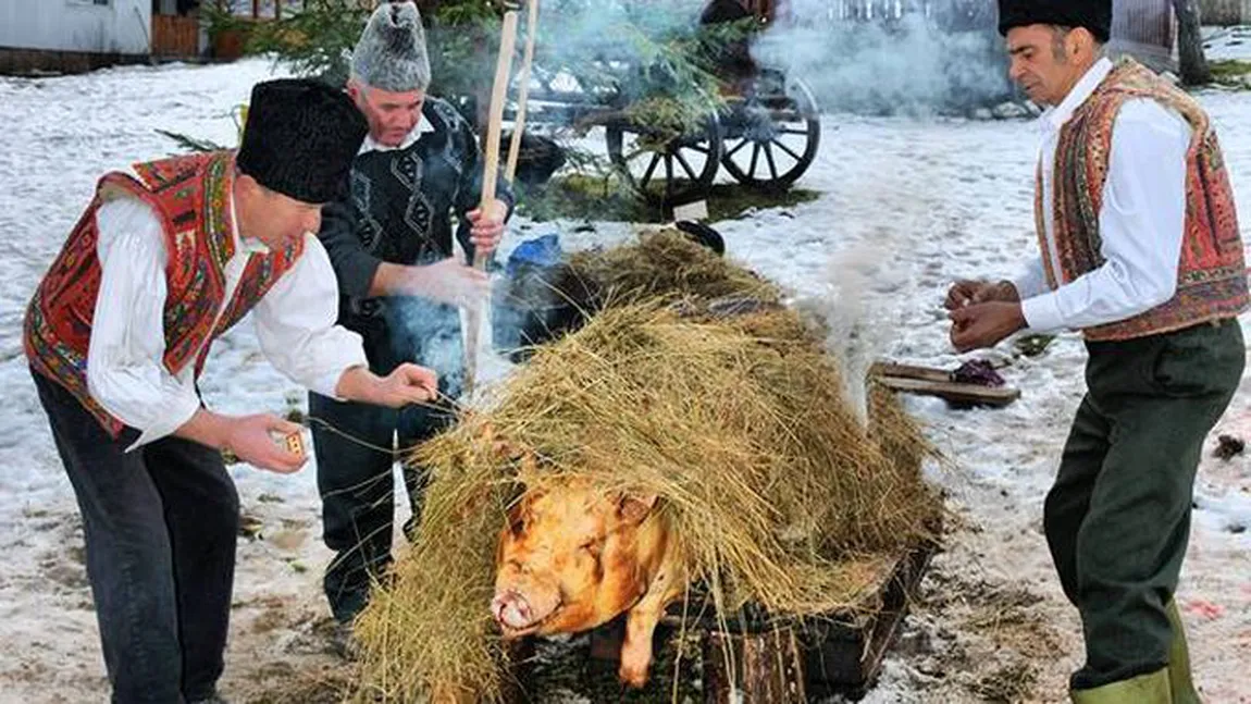 Veste proastă pentru românii care au în ogradă porc de Crăciun. Anunţ de ultimă oră despre şoriciul românesc