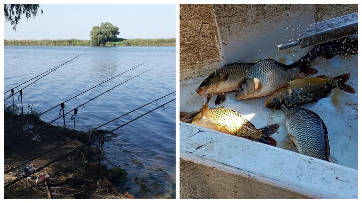 Mare atenție, români! Peștele din Dunăre este extrem de periculos pentru corpul uman și poate provoca afecțiuni neurologice și oncologice