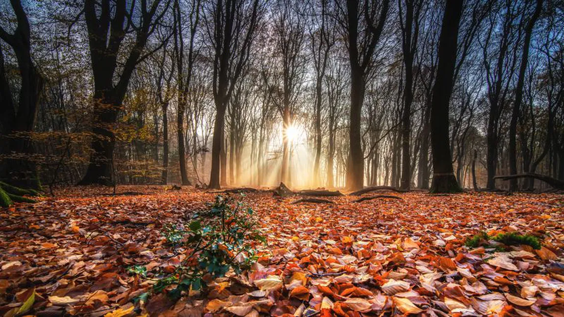 Prognoza meteo 23 noiembrie. Vremea se încălzeşte, temperaturile vor urca până la 18 grade. Unde va mai ninge