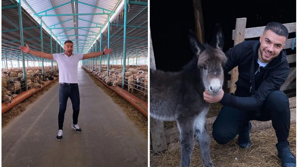 Haiduc, noul membru al familiei Sterp! Cum a reacționat mama lui Culiță când a văzut 