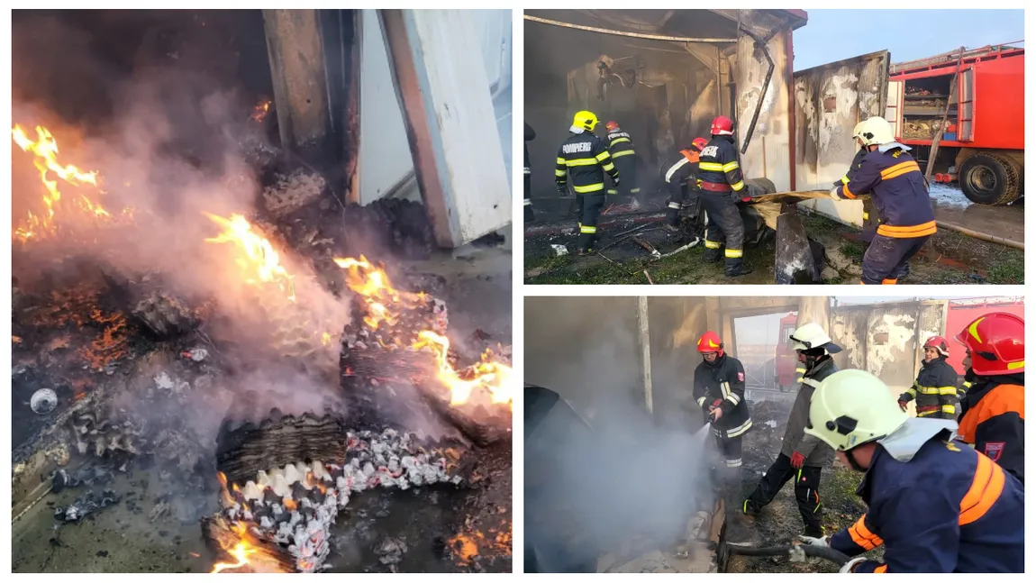Incendiu devastator la o fermă din Satu Mare. 9.000 de găini au murit carbonizate