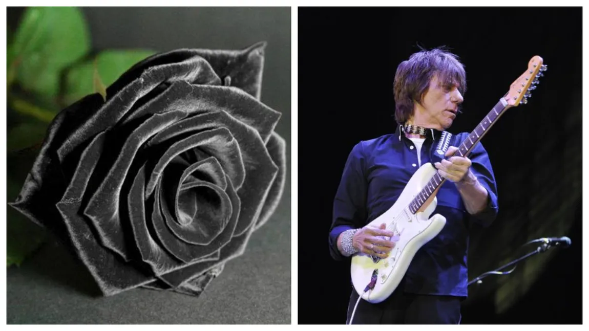 Doliu uriaș în lumea muzicii! Legendarul chitarist Jeff Beck a murit la vârsta de 78 de ani