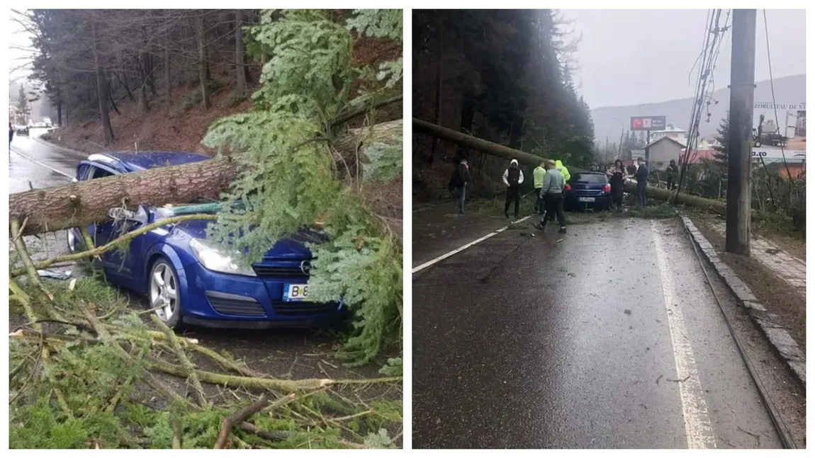 FOTO: Ninsoare și viscol în România. Mașină cu patru pasageri, zdrobită de un copac imens