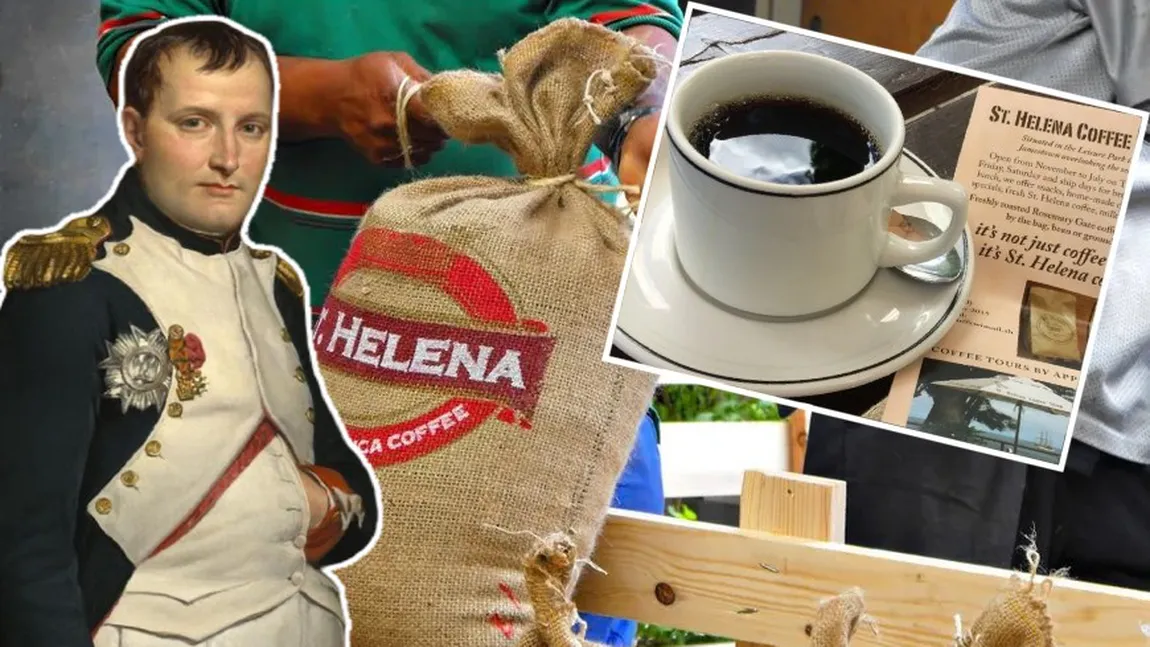 Cafeaua Sfânta Elena, plantată de Napoleon Bonaparte, căutată în întreaga lume. Şi românii o preferă: 