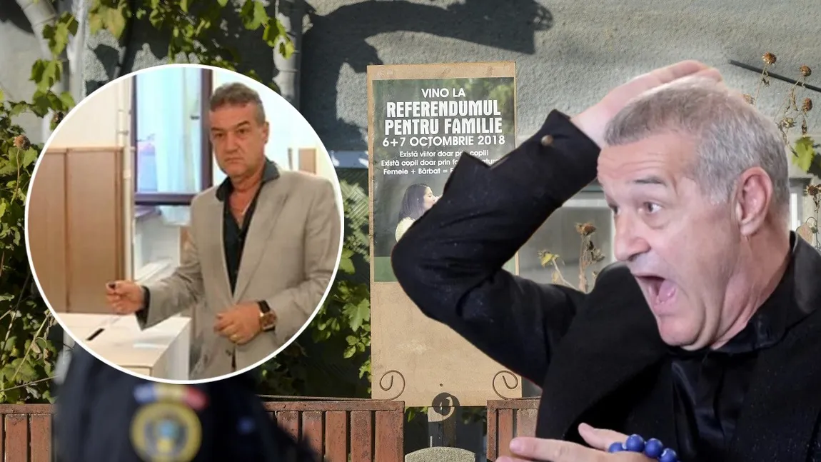 Gigi Becali riscă să ajungă iar la închisoare. Judecătoria Buftea a confirmat rechizitoriul în dosarul 