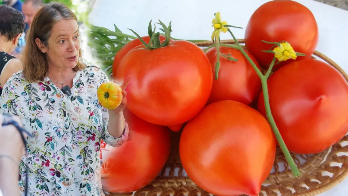 Dacă îţi plac roşiile ţuguiate, trebuie să ştii ce pericol se ascunde în spatele acestor tomate. Ce spun specialiştii despre forma acestora