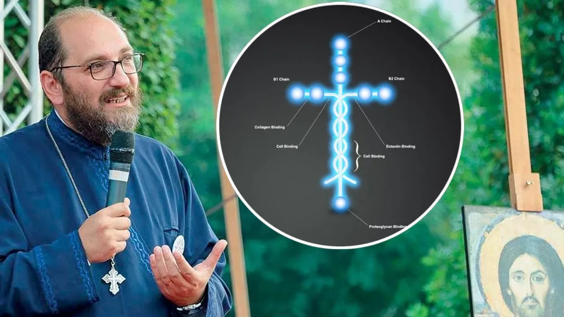 Părintele Constantin Necula explică modul în care funcţionează proteina în formă de cruce pe care o avem în corp: 