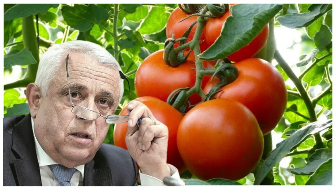 Petre Daea, după scandalul roșiilor tratate de la Buzău: ”Îndemn consumatorii să folosească legumele româneşti pentru că sunt verificate”