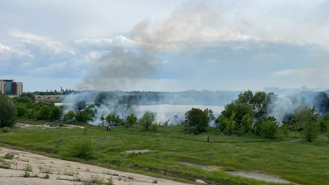Incendiu de vegetație în Delta Văcărești din Capitală. Flăcările s-au extins rapid