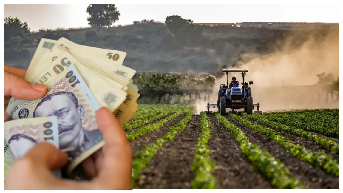 Avertisment de la APIA! Fermierii ar putea rămâne fără subvenții în 2023