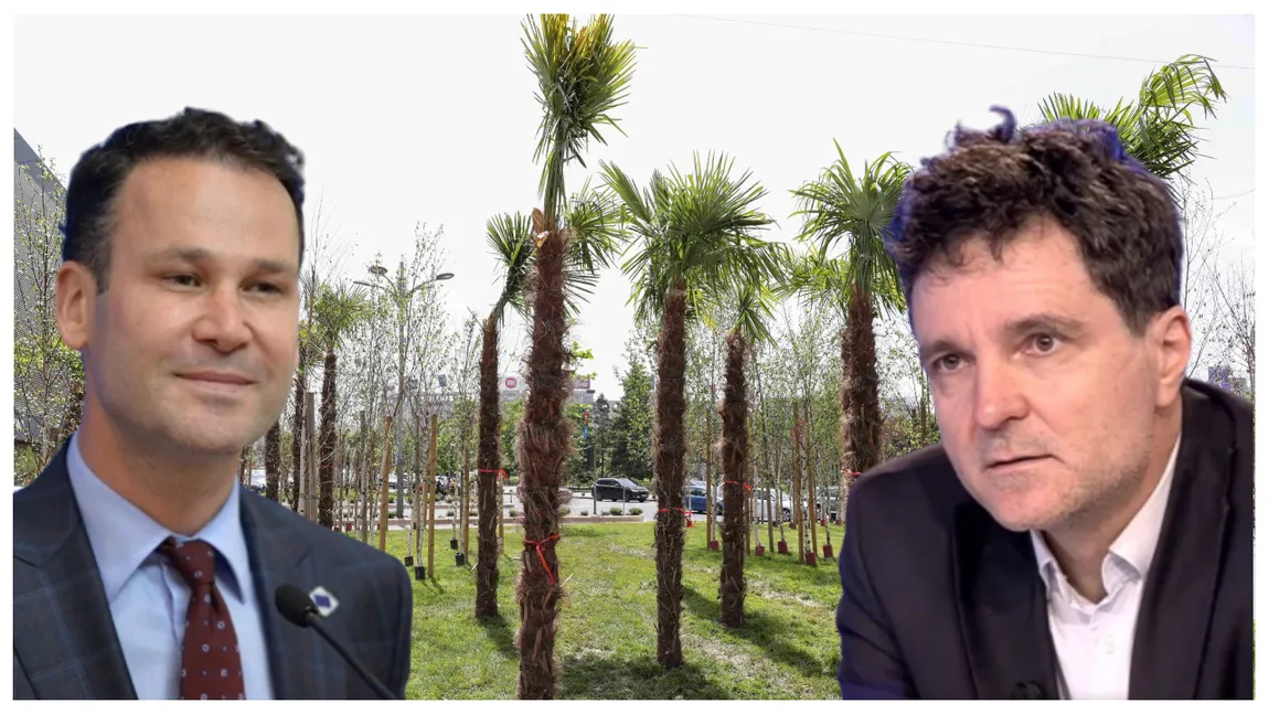 VIDEO| Robert Negoiță, o nouă ironie la adresa lui Nicușor Dan. ”Ia uite ce copaci frumoși, ăștia sunt ilegali”